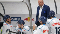 hokej tygři red